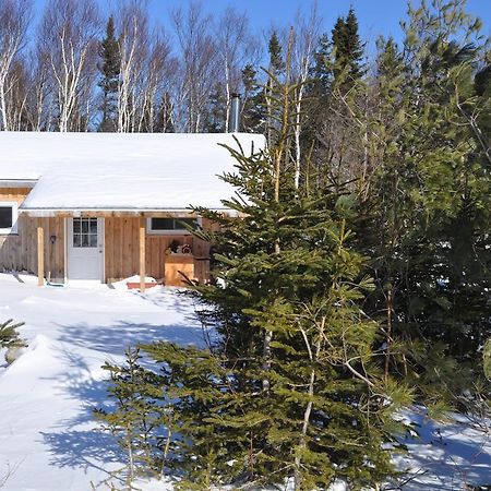 The Sleeping Moose Cottage Birch Plain Екстериор снимка