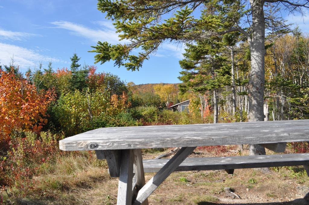 The Sleeping Moose Cottage Birch Plain Екстериор снимка