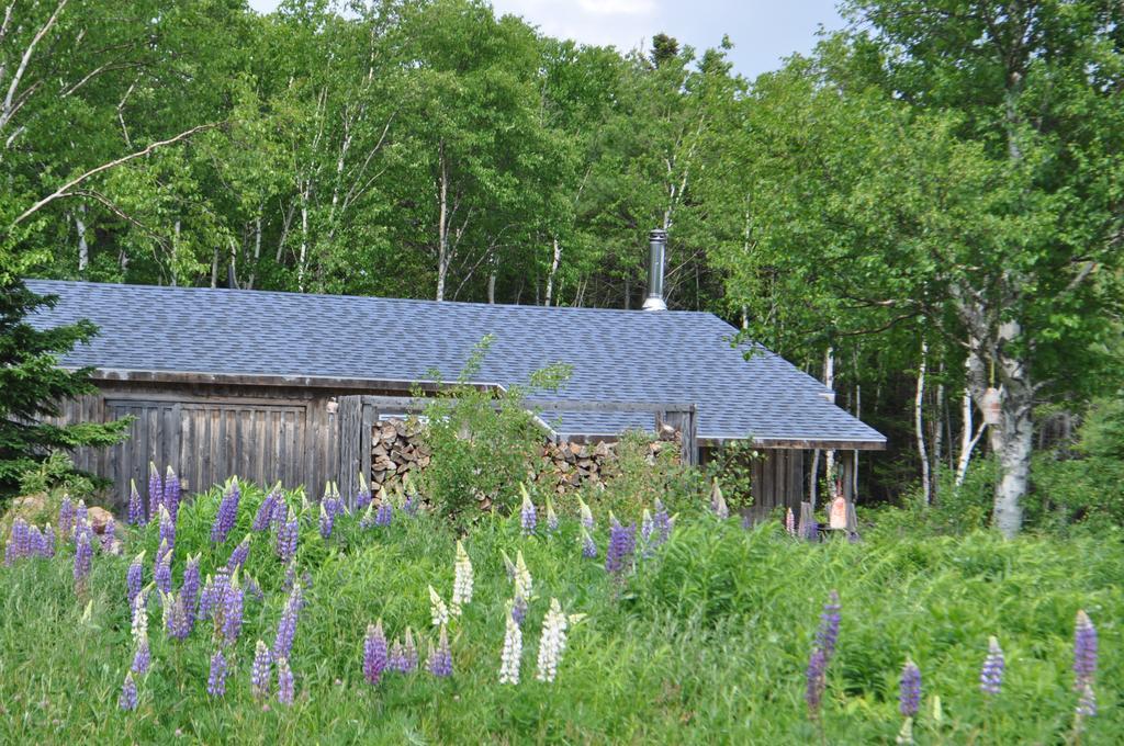 The Sleeping Moose Cottage Birch Plain Екстериор снимка