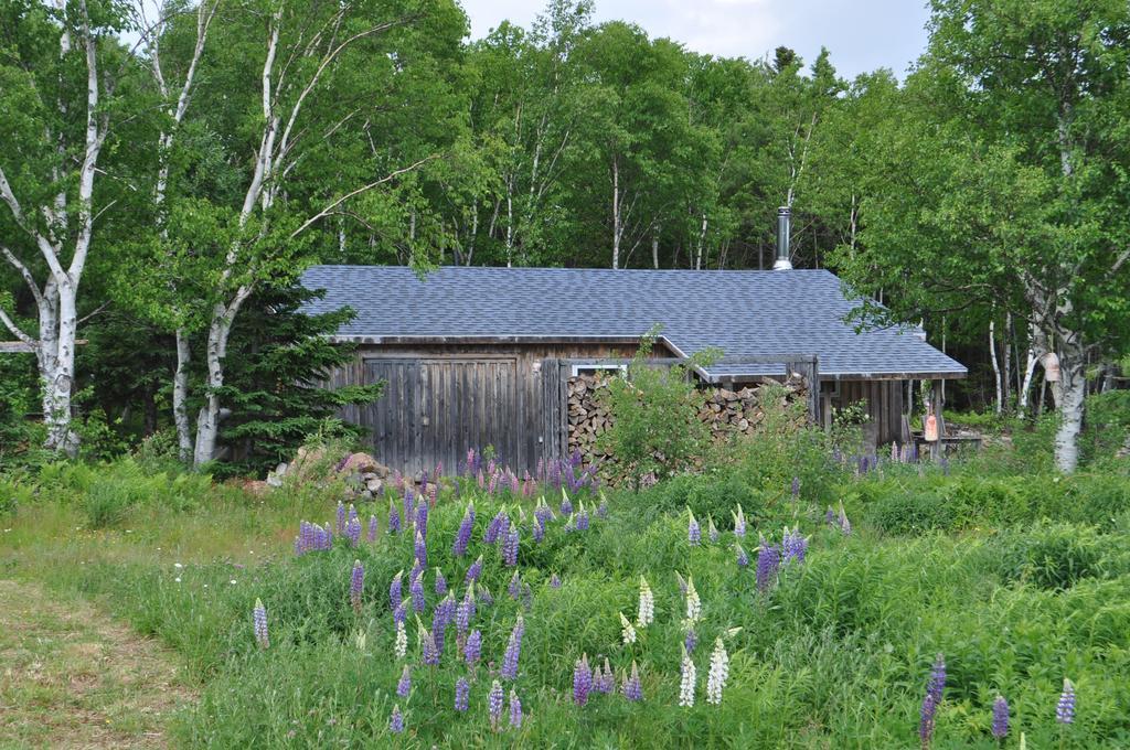 The Sleeping Moose Cottage Birch Plain Екстериор снимка