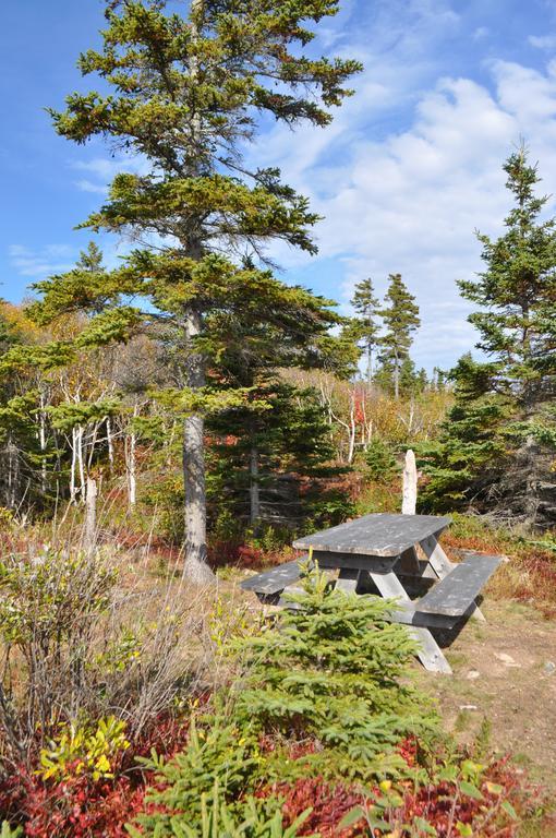 The Sleeping Moose Cottage Birch Plain Екстериор снимка