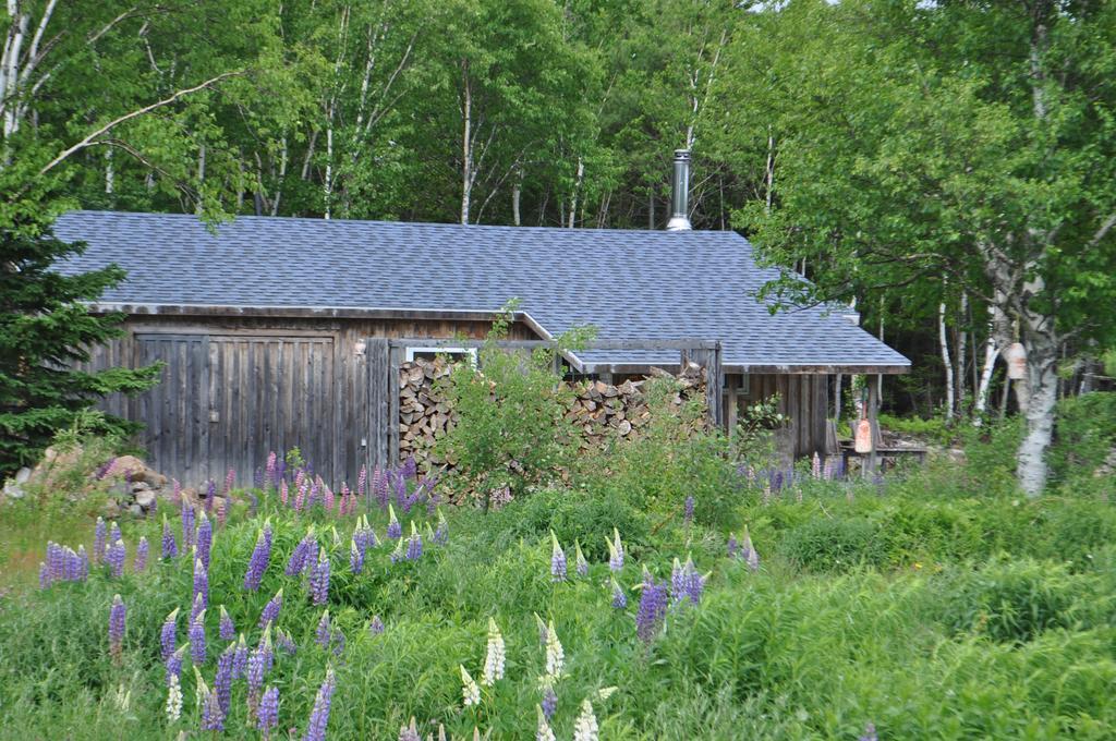 The Sleeping Moose Cottage Birch Plain Екстериор снимка
