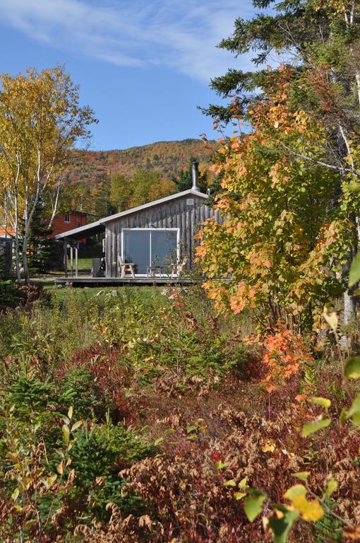 The Sleeping Moose Cottage Birch Plain Екстериор снимка