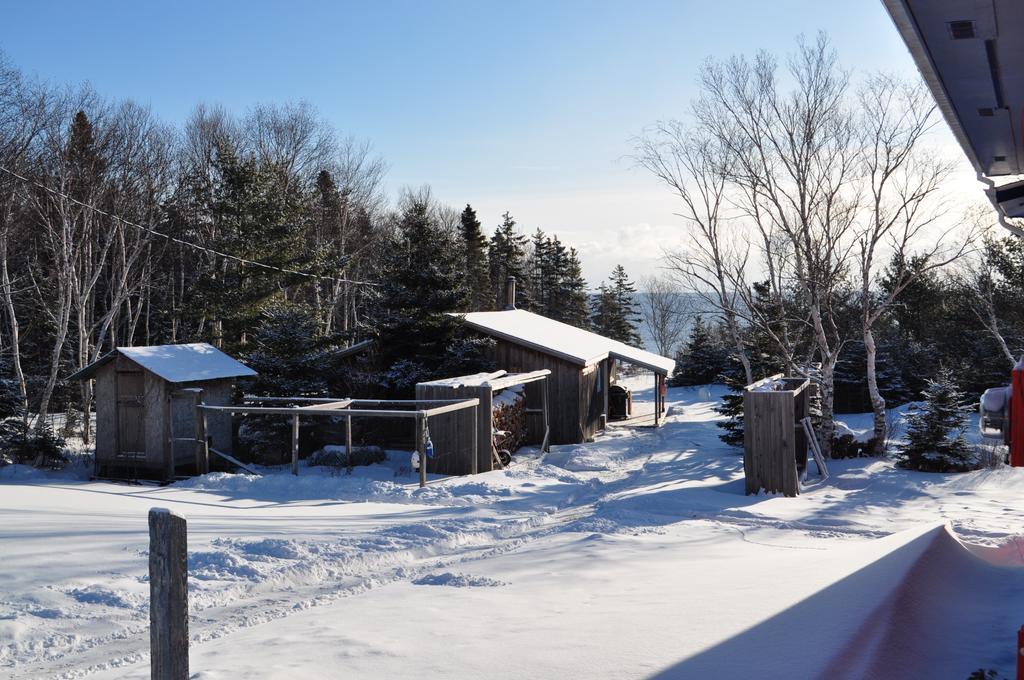 The Sleeping Moose Cottage Birch Plain Екстериор снимка